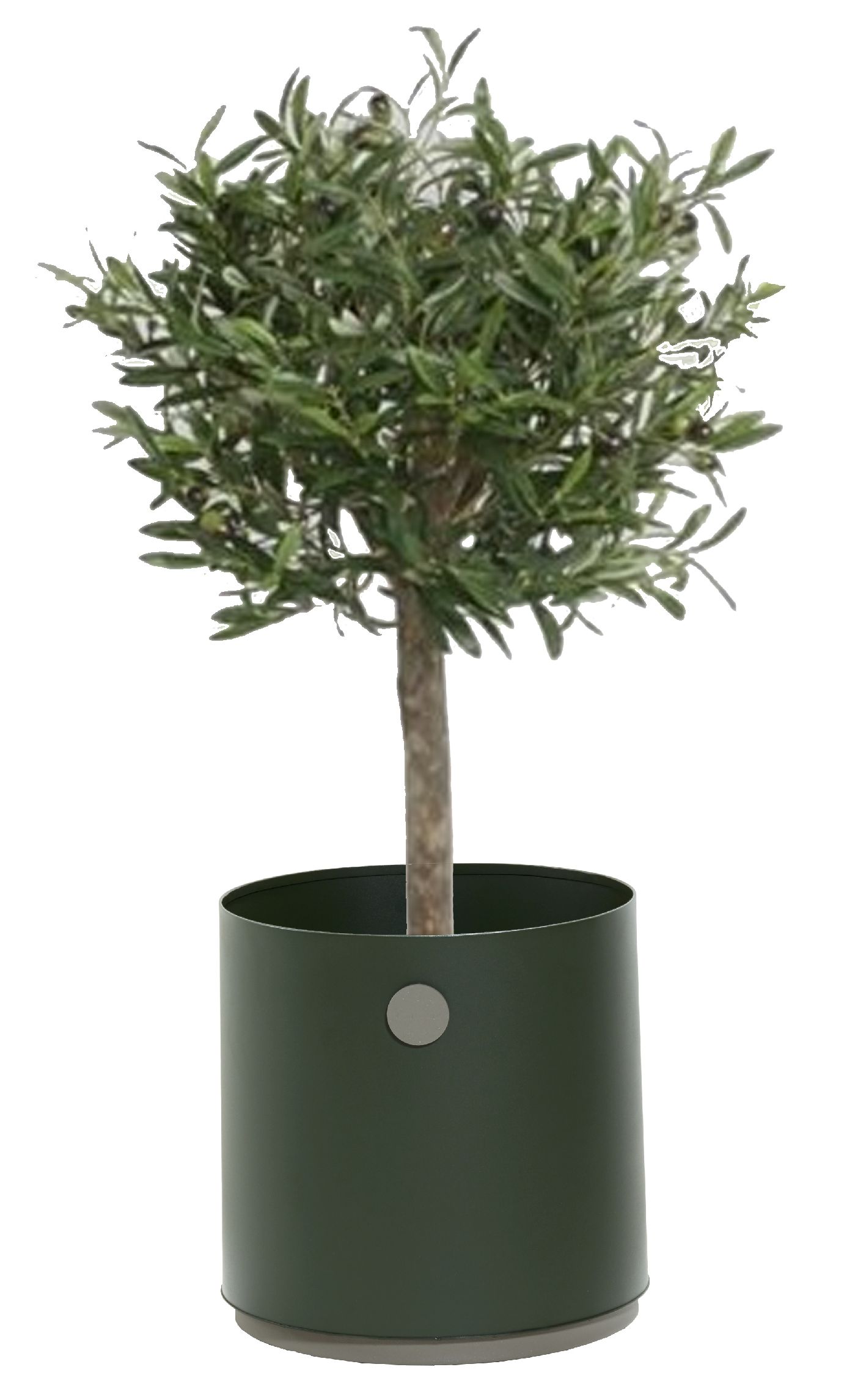 Jardinière de culture, petite jardinière d'extérieur Cane-Line