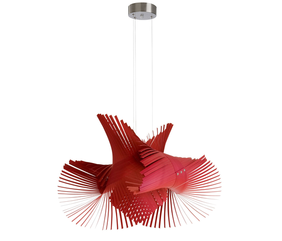 Mini Mikado lampe de Suspendue Luzifer Lamps