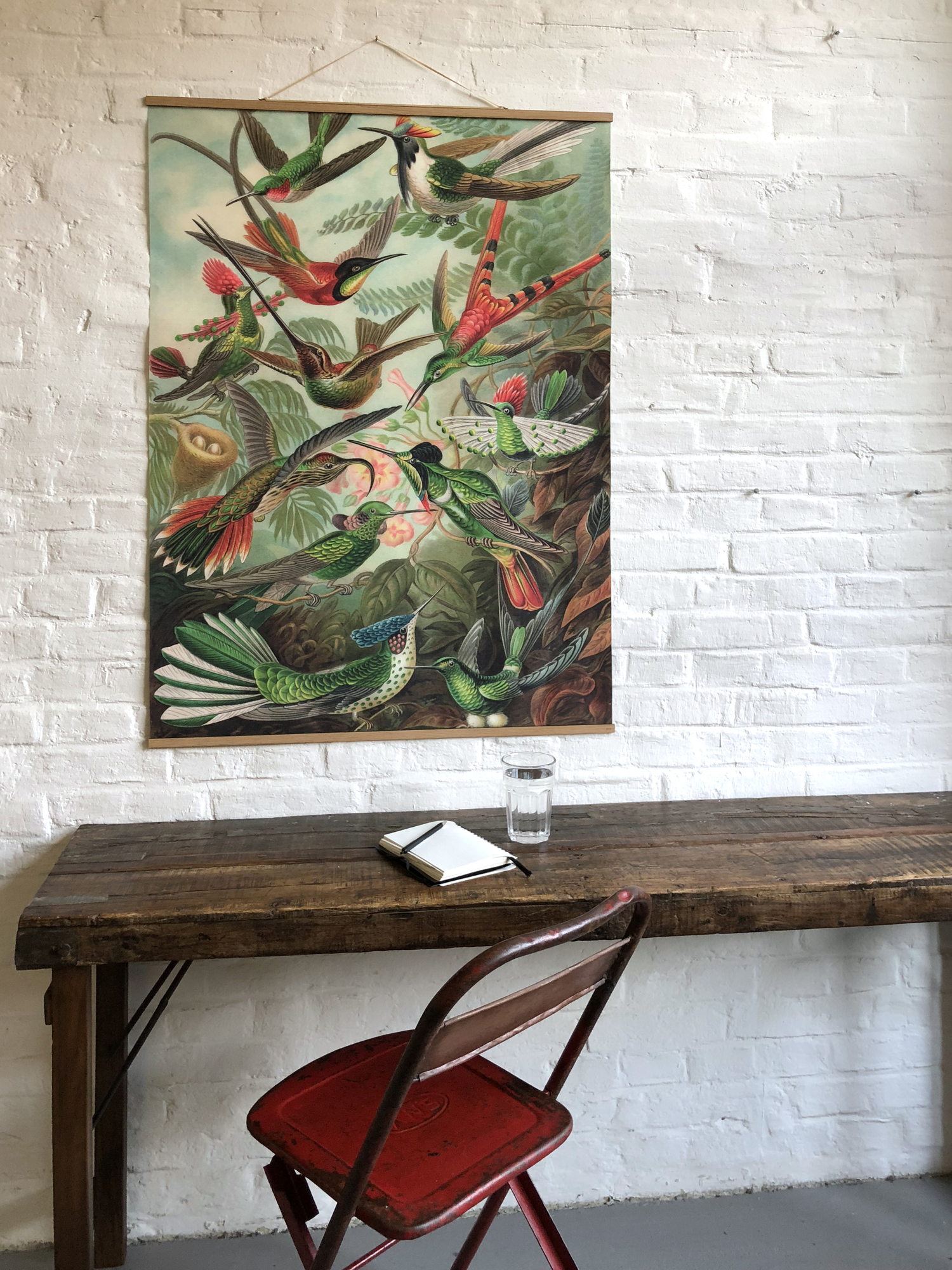 Fruits affiche No 100 eicie OFFRE SPECIALE