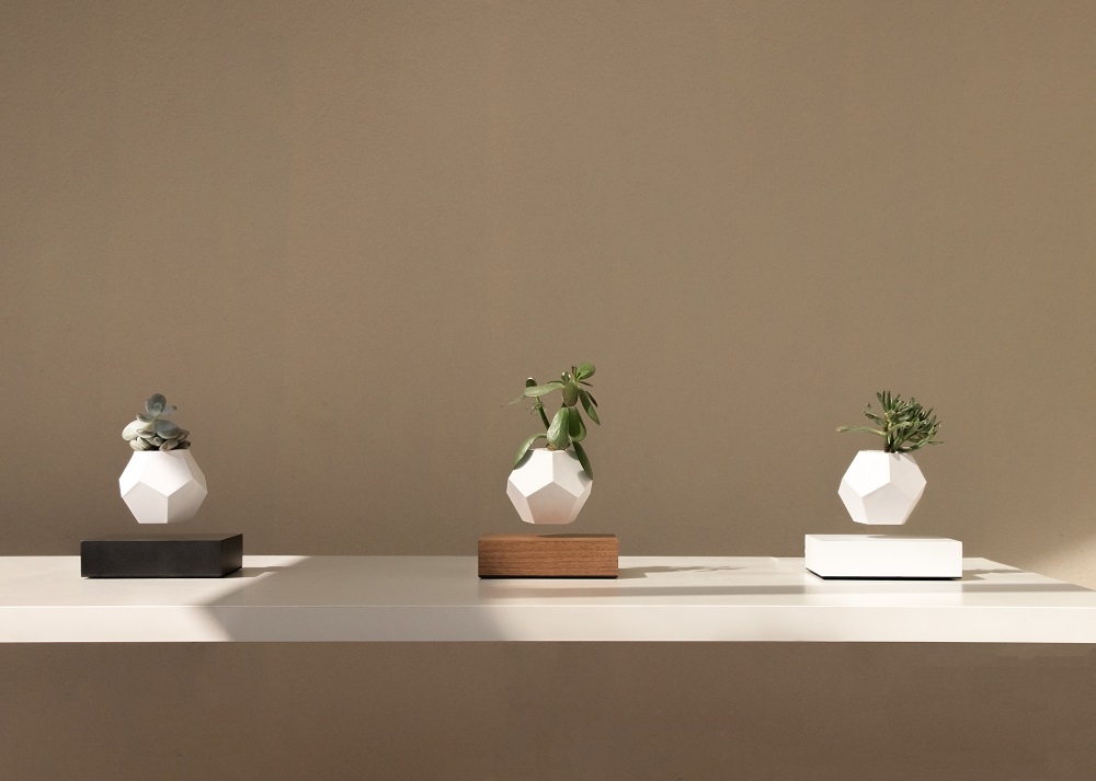 Lyfe flottant Vase Klein & More Bois d'érable Noir OFFRE SPECIALE