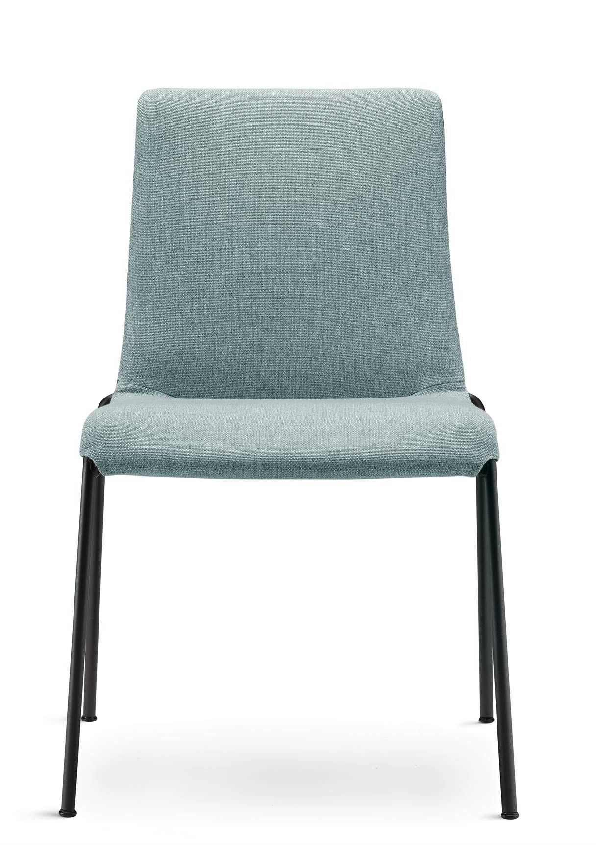 Liz Chaise Walter Koll