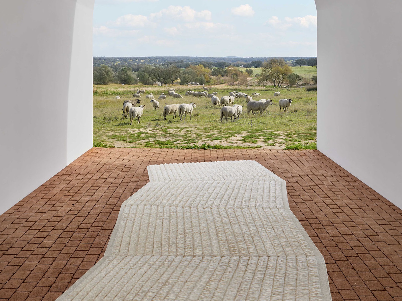 Lines Rug Tapis Gan