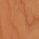 Cerise