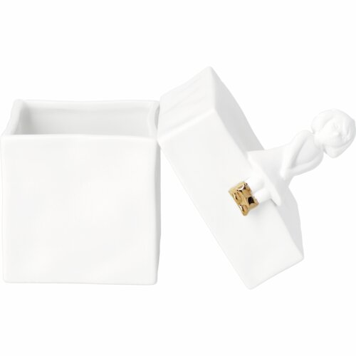 Boîte de Girl Räder