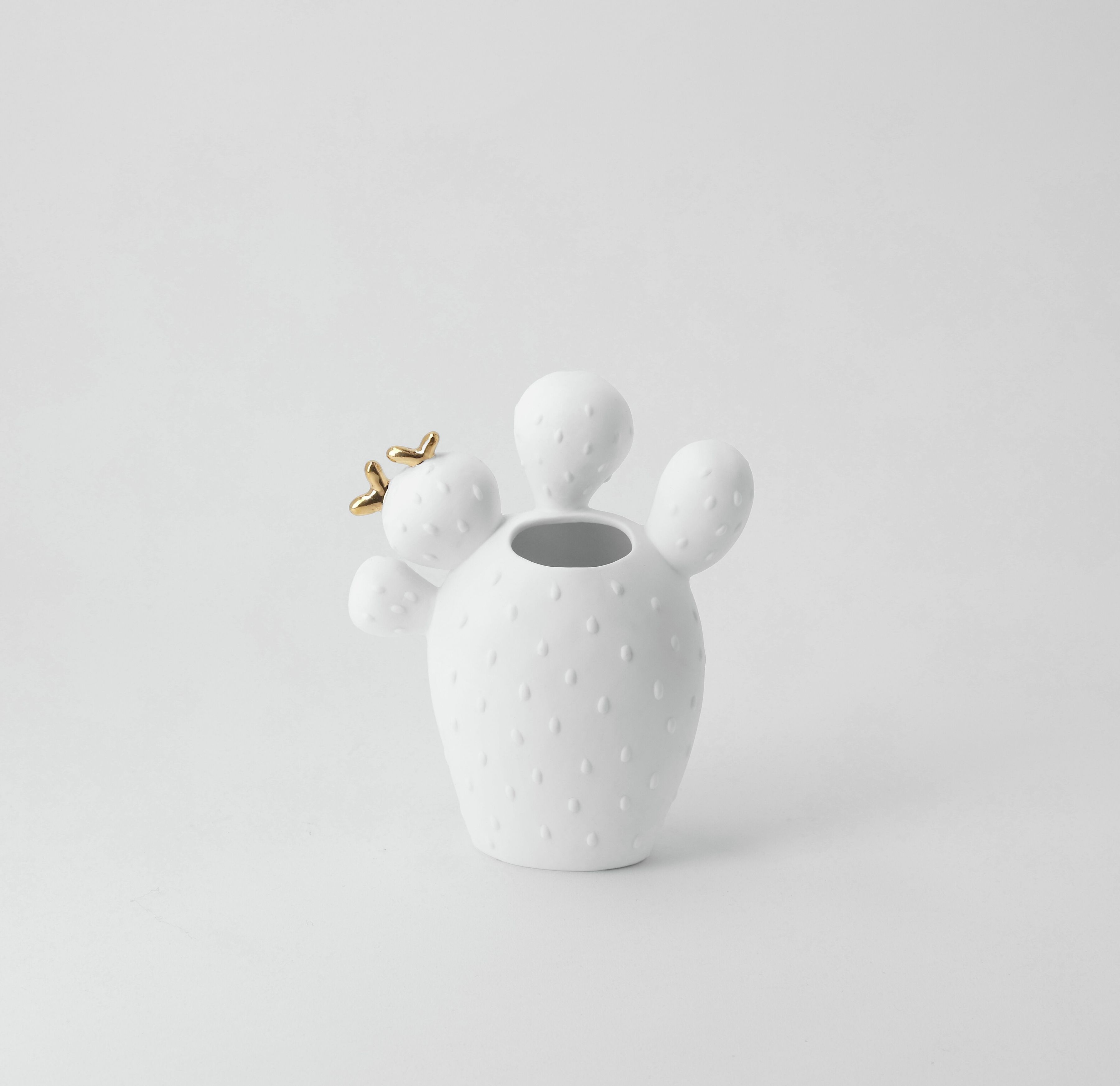 Vase cactus figue de barbarie Räder