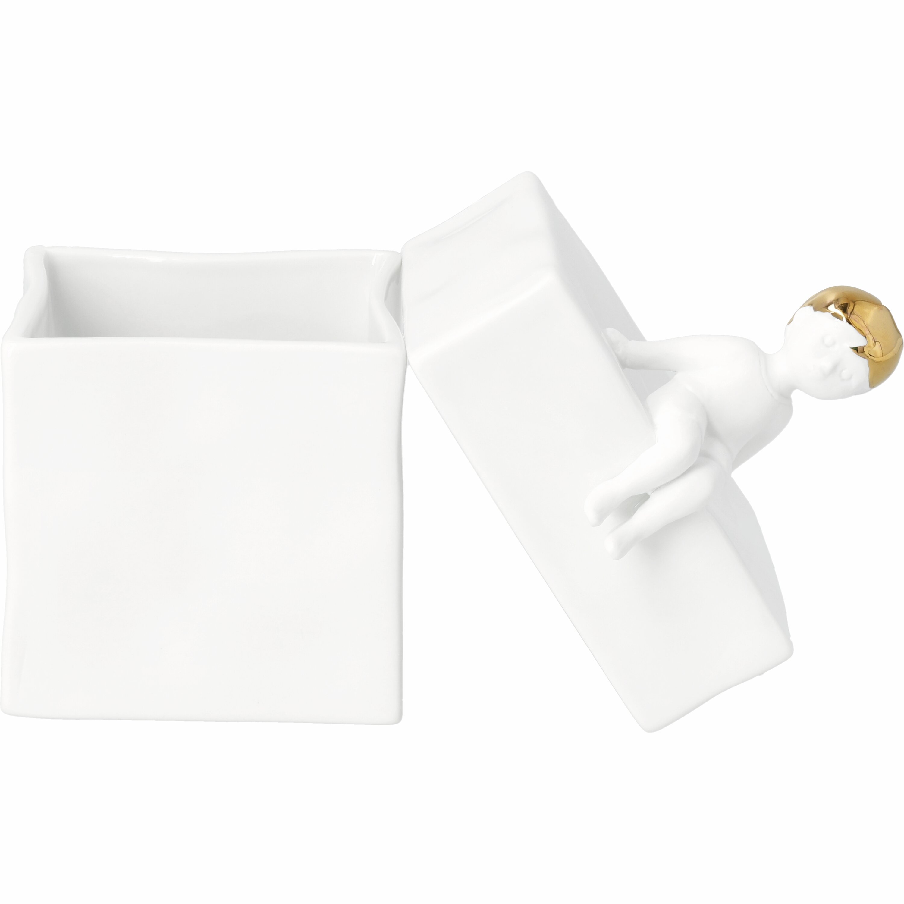 Boîte de Young Räder