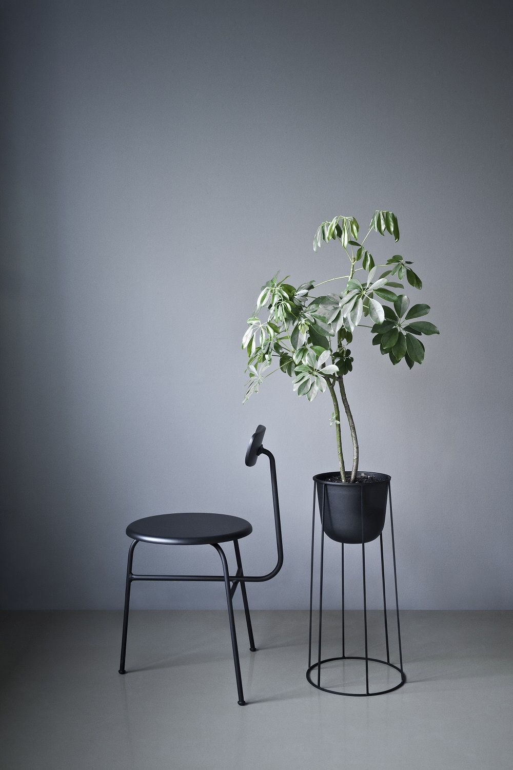 Afteroom Dining Chair chaise / chaise de salle à manger Audo Copenhagen Afteroom Dining Chair chaise / chaise de salle à manger Audo Copenhagen