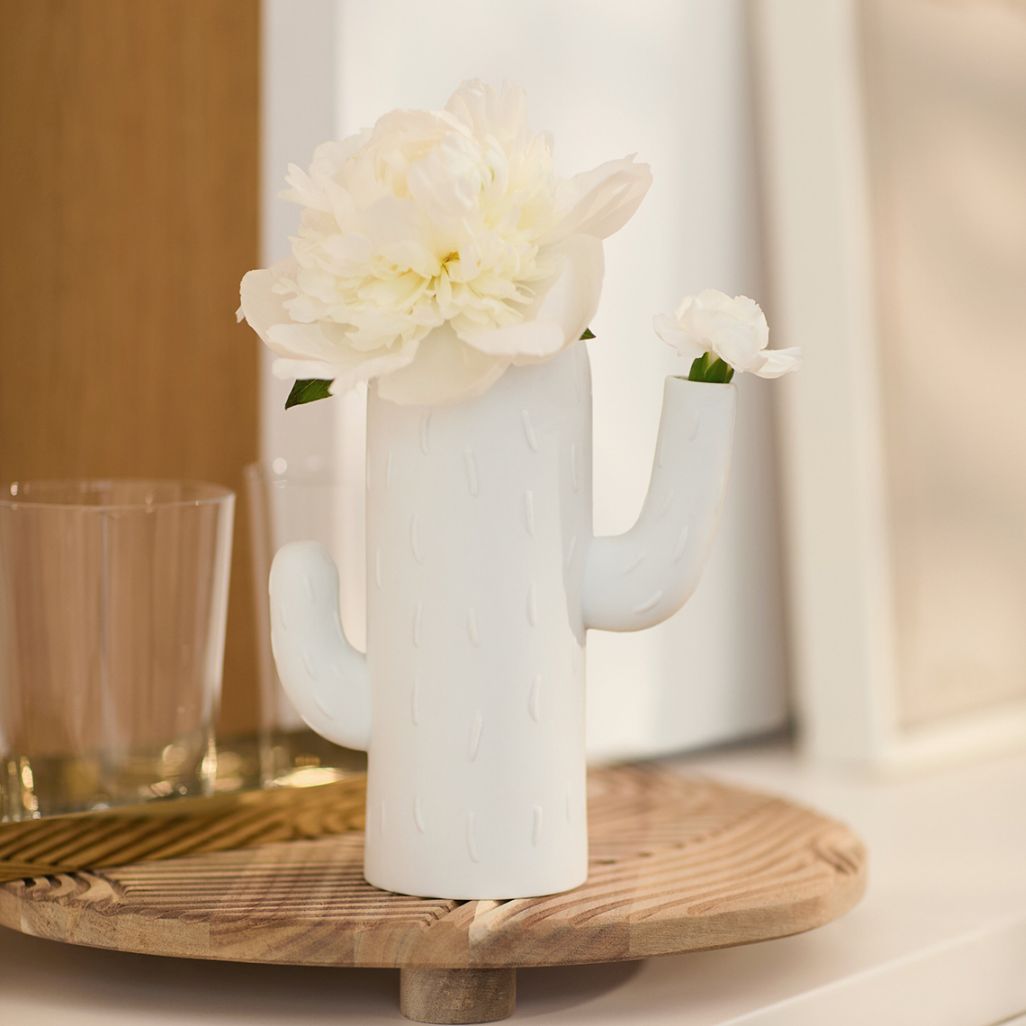 Vase cactus Colonne cactus Roues