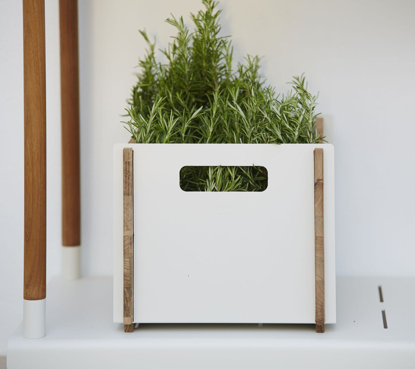 Weißer Cane-Line Box Aufbewahrungskasten mit Holzdetails, gefüllt mit grünen Pflanzen. Praktische Aufbewahrung und Dekoration.