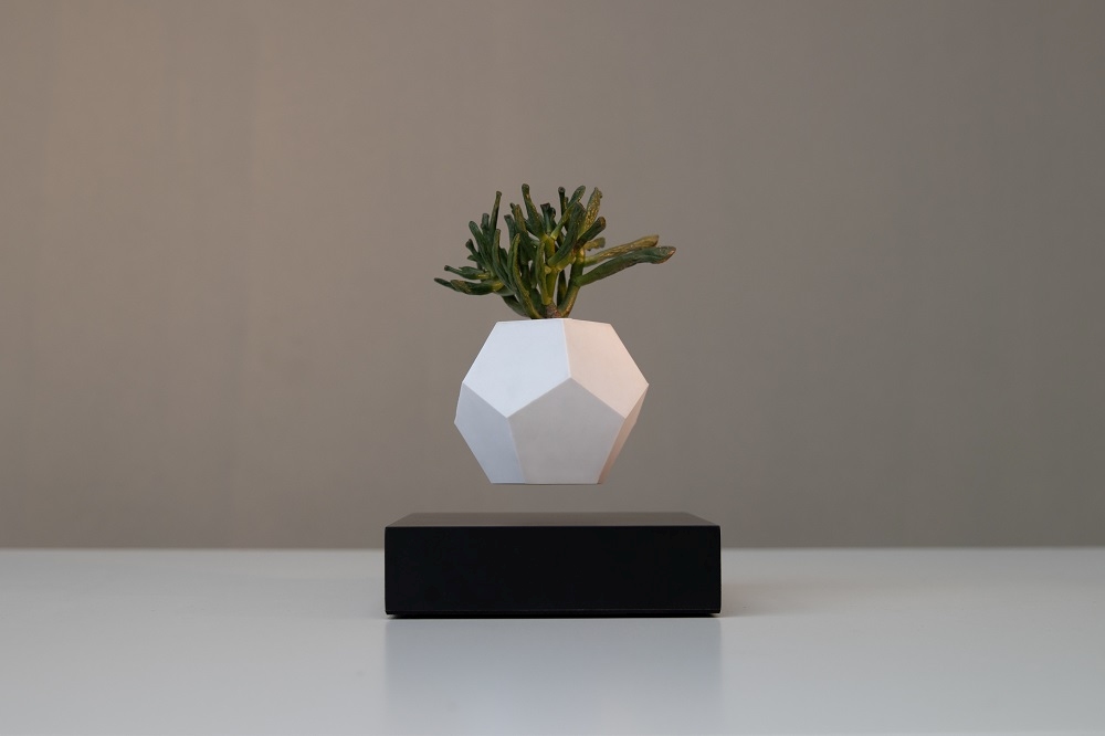 Lyfe flottant Vase Klein & More Bois d'érable Noir OFFRE SPECIALE