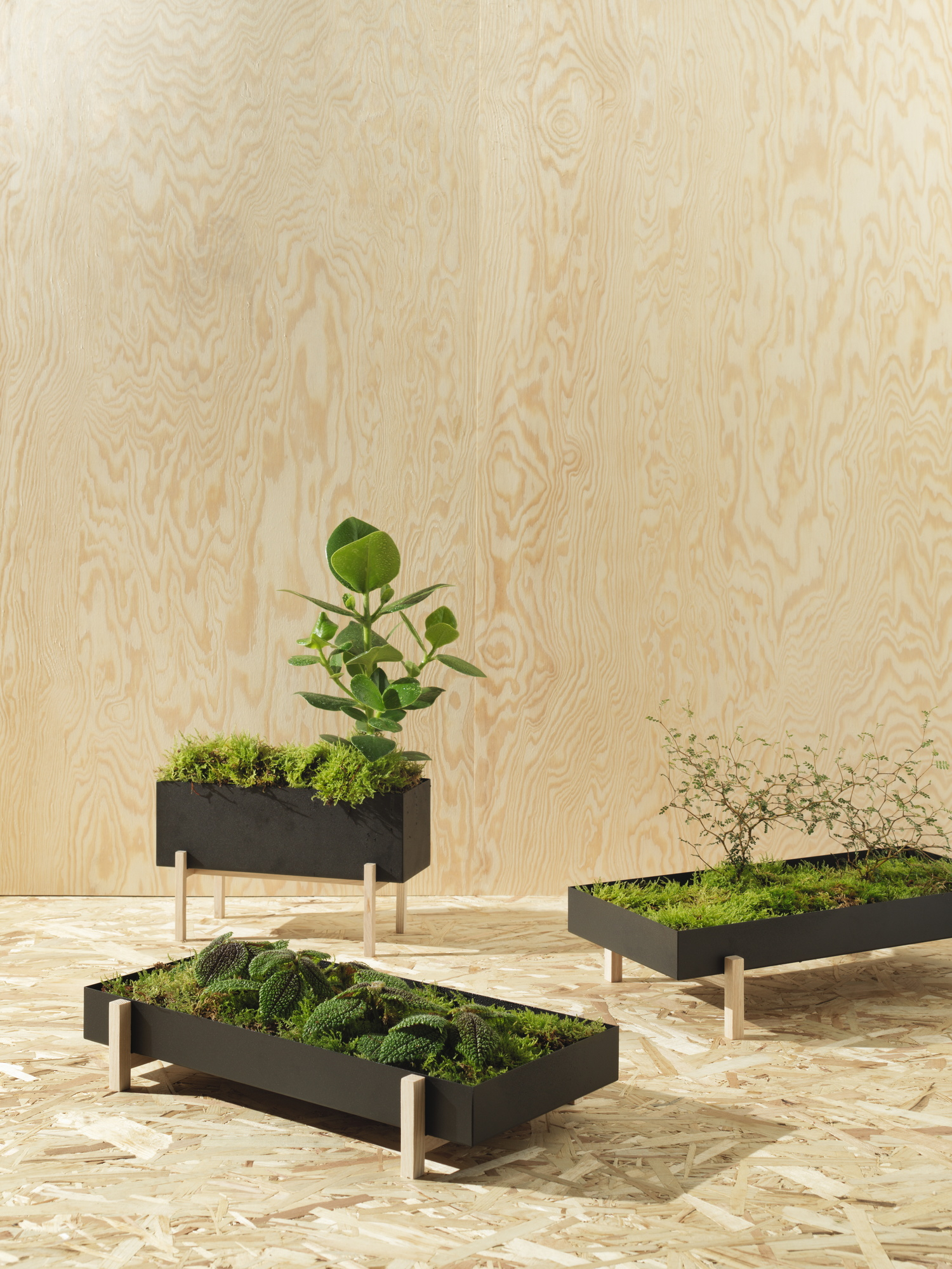 Botanic Boîte à herbes Design House Stockholm OFFRE SPECIALE