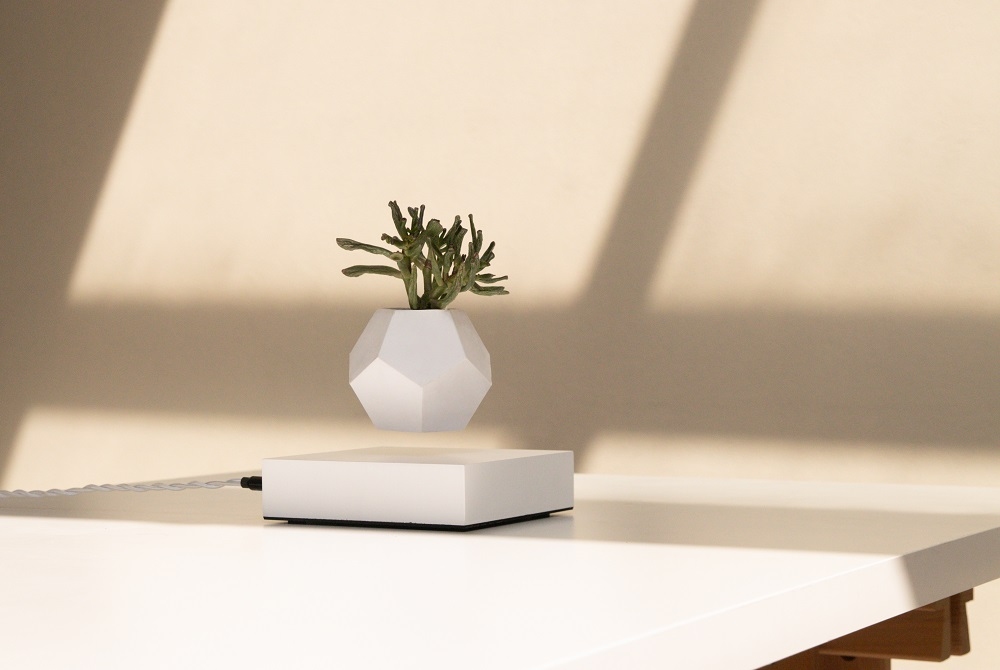 Lyfe flottant Vase Klein & More Bois d'érable blanc OFFRE SPECIALE