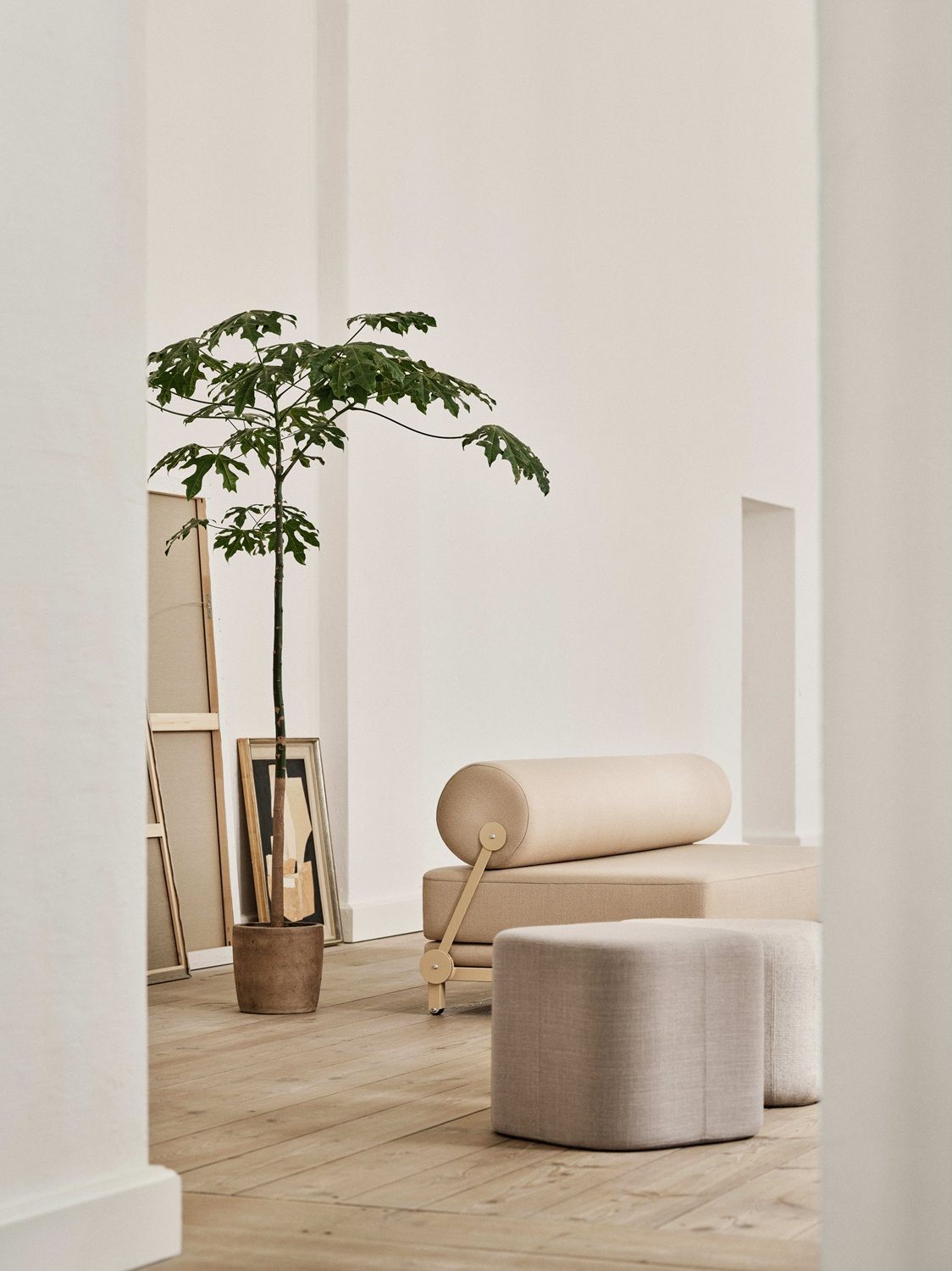 SLEEP Canapé / Canapé-lit Softline