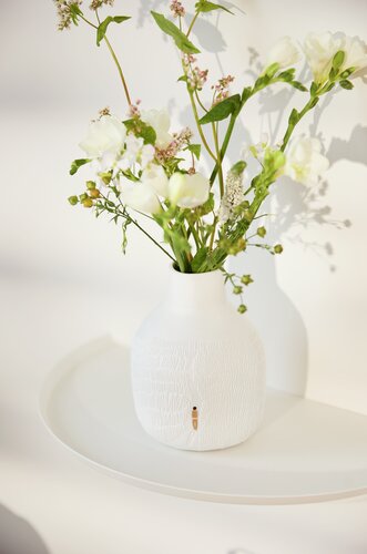 Vase d'herbes dans le vent Räder