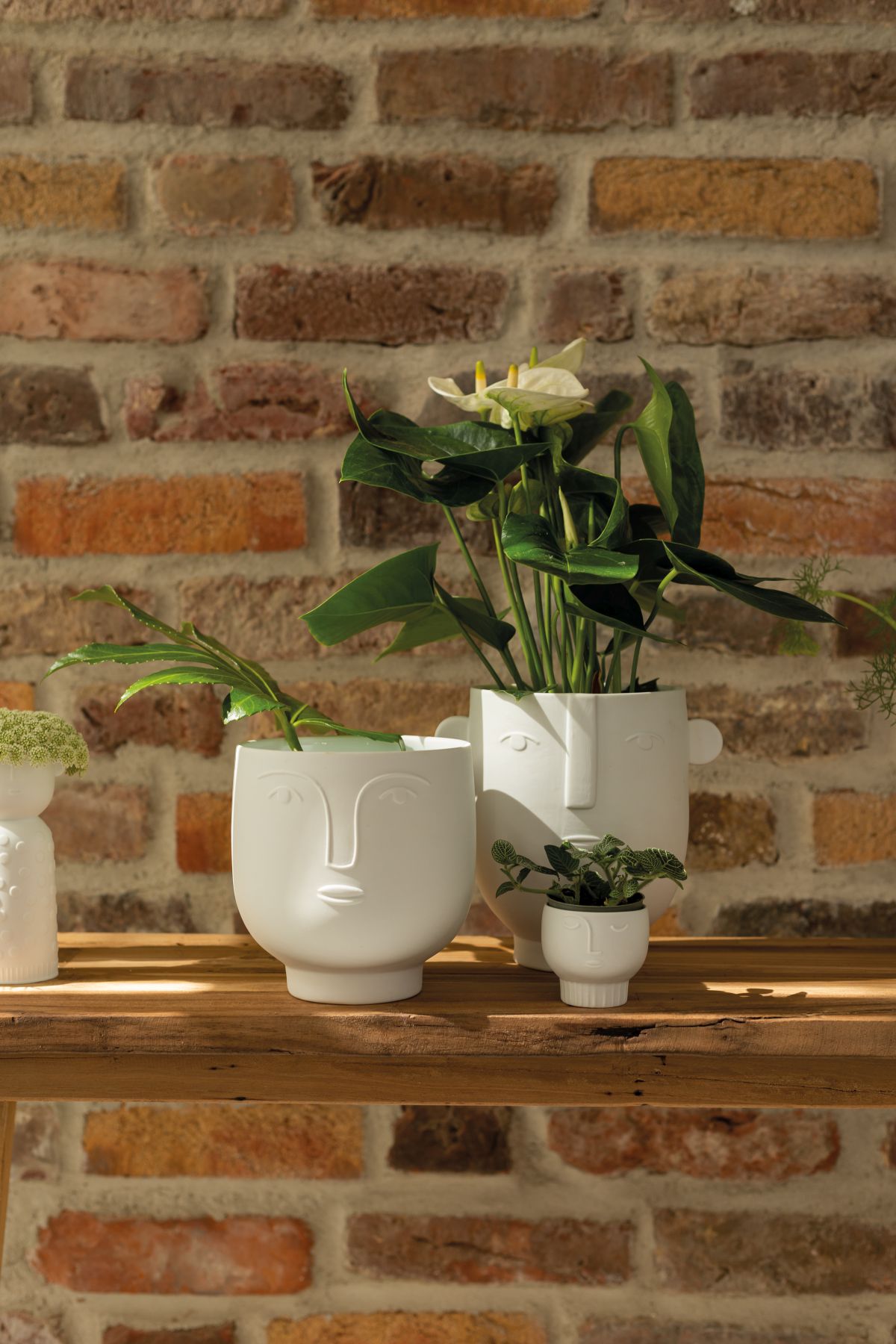 Création de la nature Vase Flora Roues