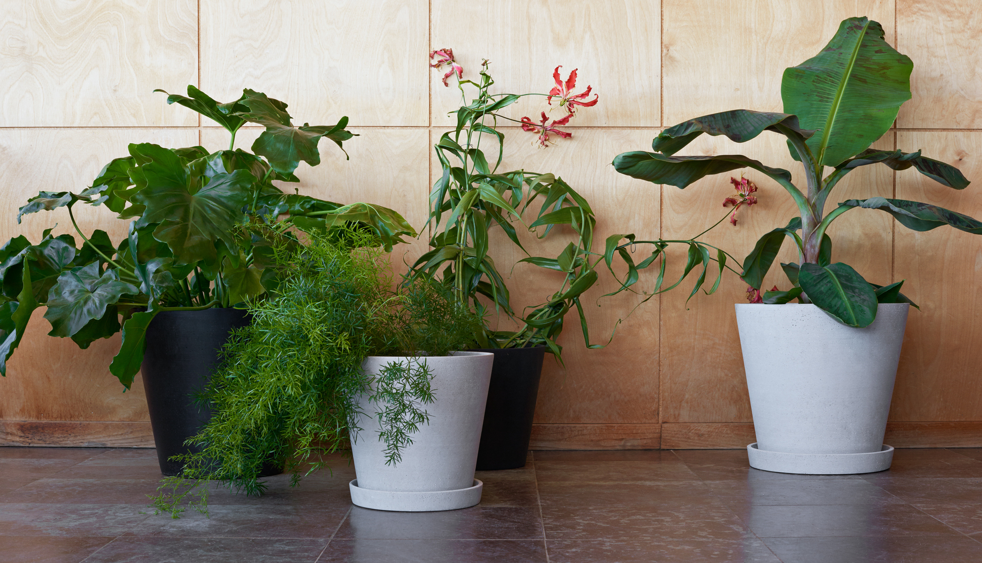 Flowerpot with Saucer XXXL Pot de fleurs Hay