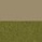 Beige - Vert