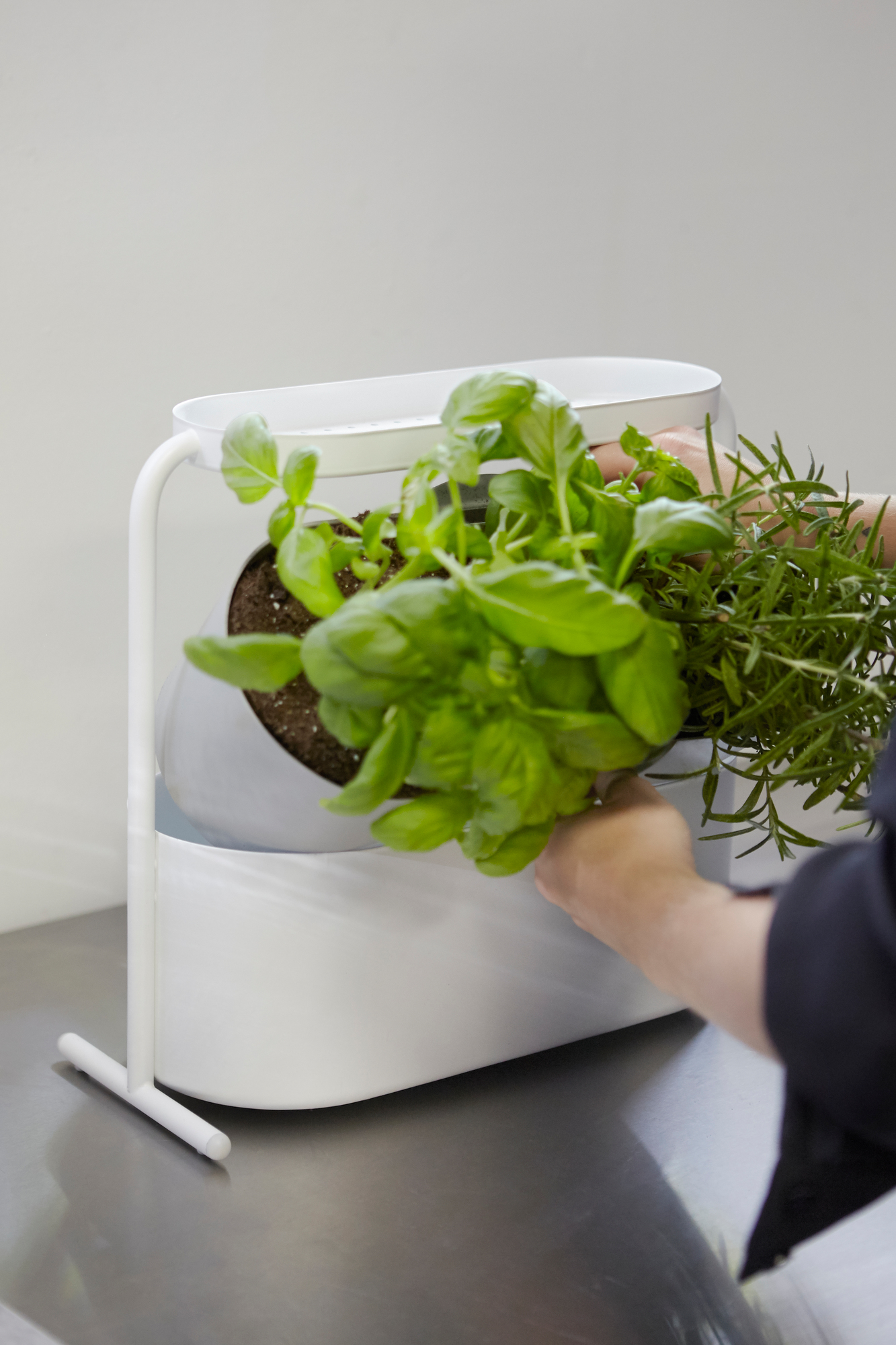 Giardino Pot à base de plantes Umbra OFFRE SPECIALE
