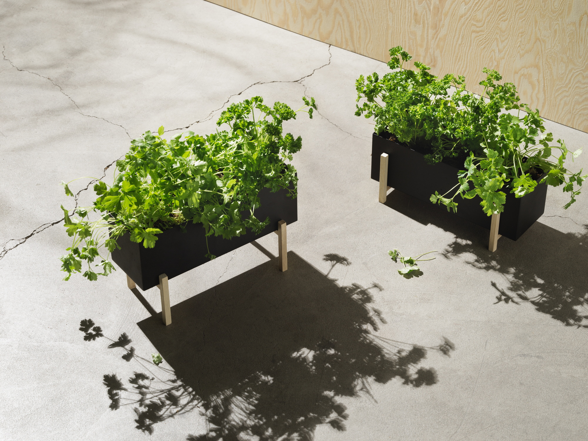 Botanic Boîte à herbes Design House Stockholm OFFRE SPECIALE