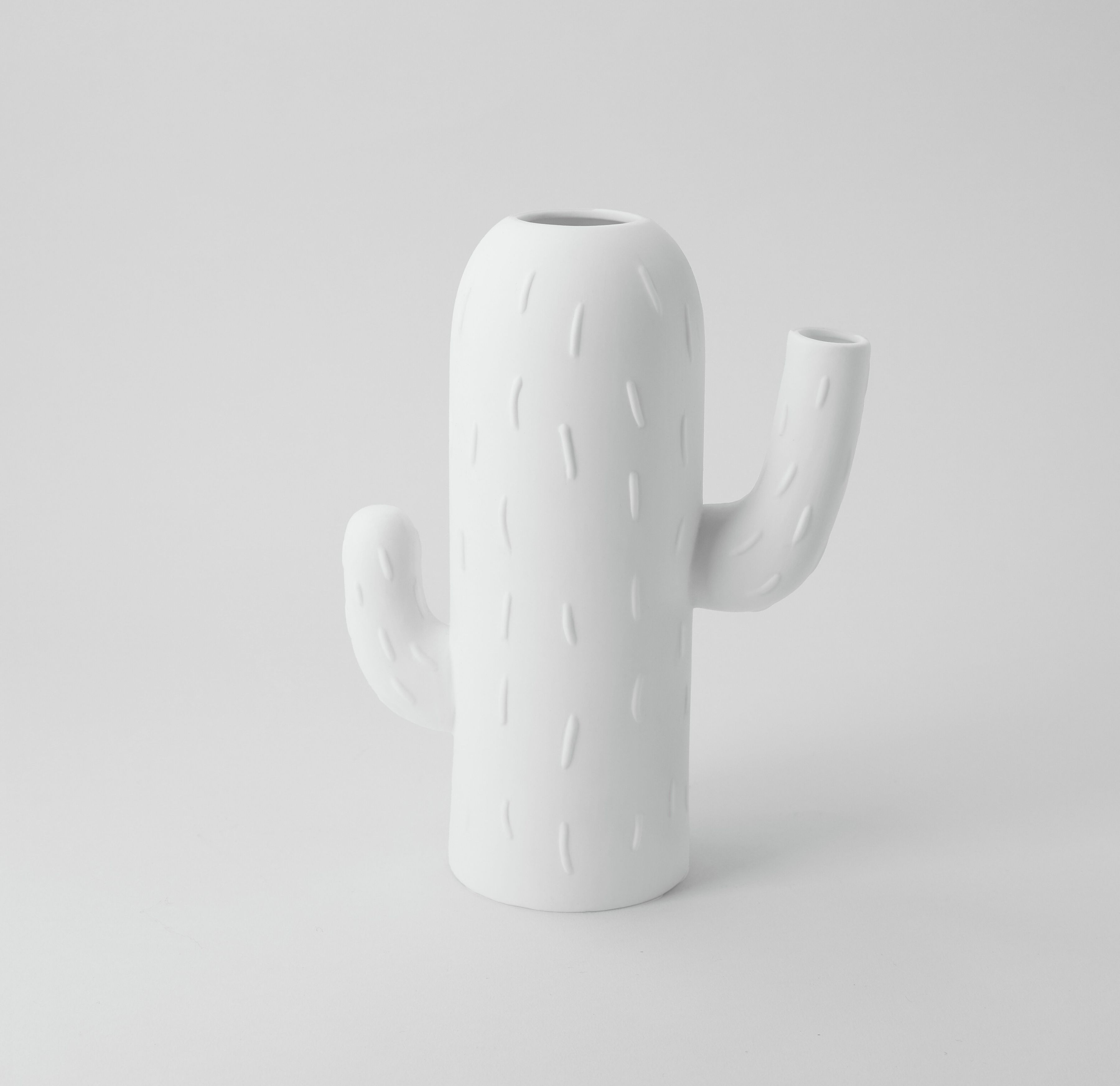 Vase cactus Colonne cactus Roues