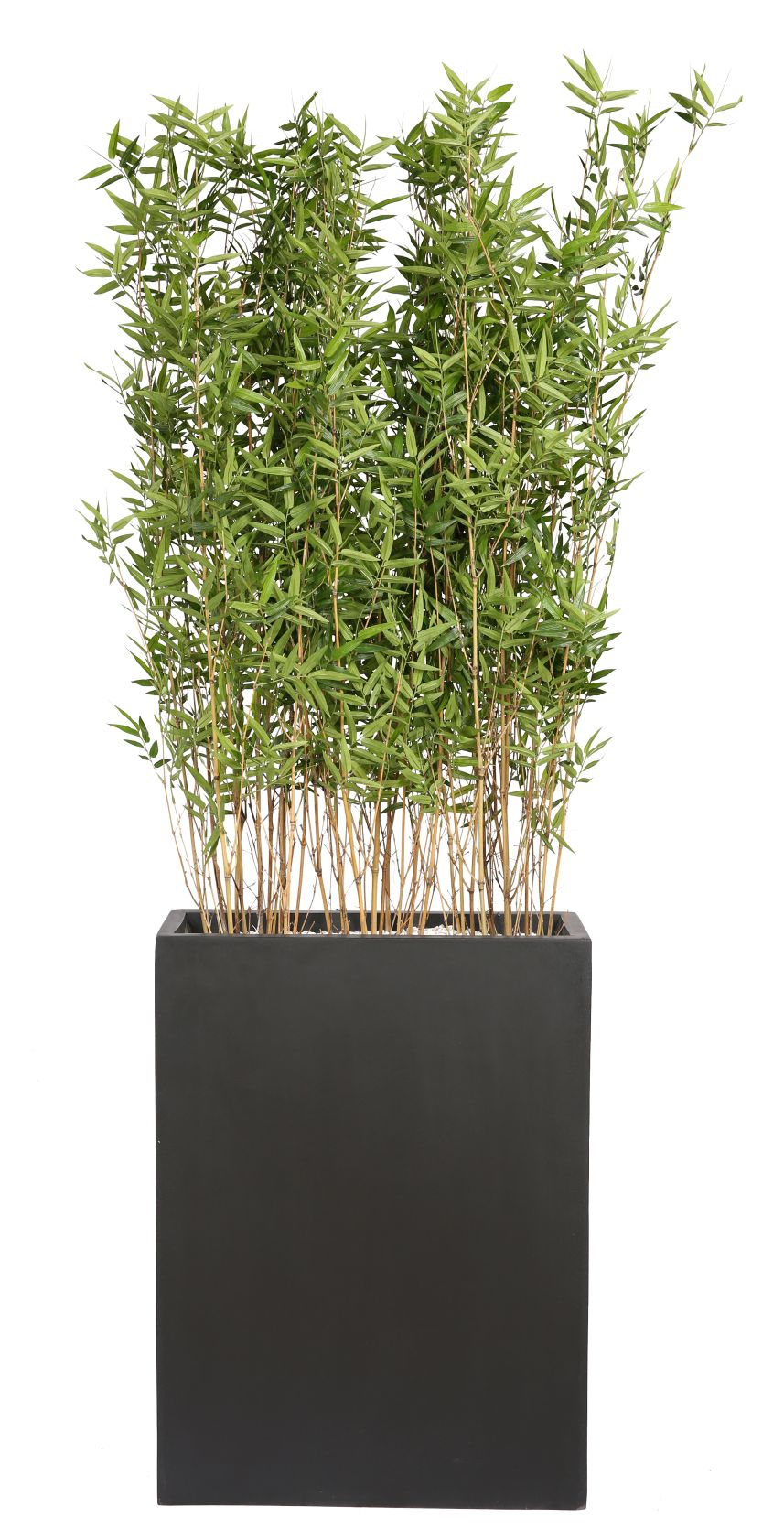 Kyoto Bamboos Kunstpflanze Tanaman im schwarzen Topf, detailreiche Bambus-Optik für Innenräume.