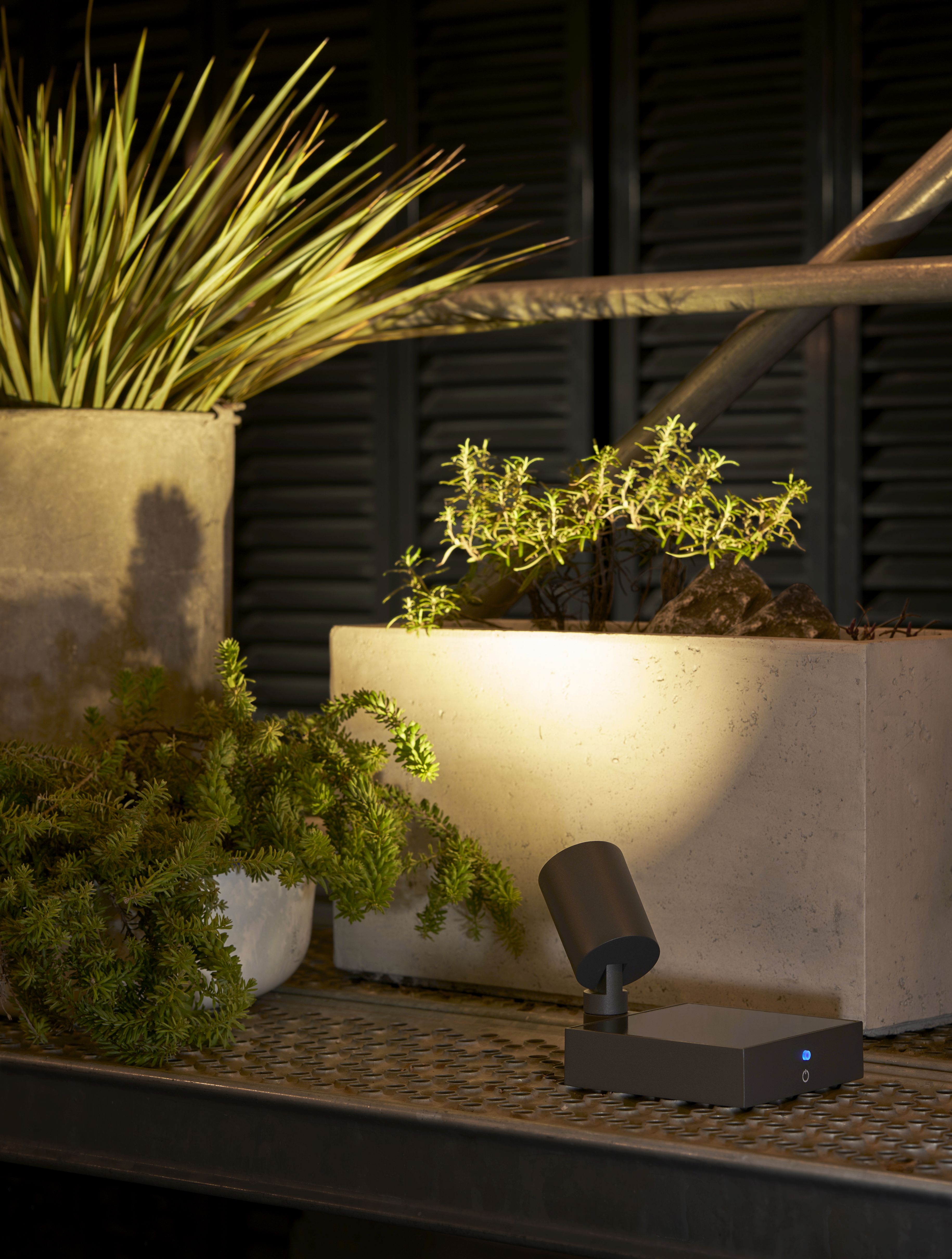 Spot.E projecteur solaire de jardin Moree