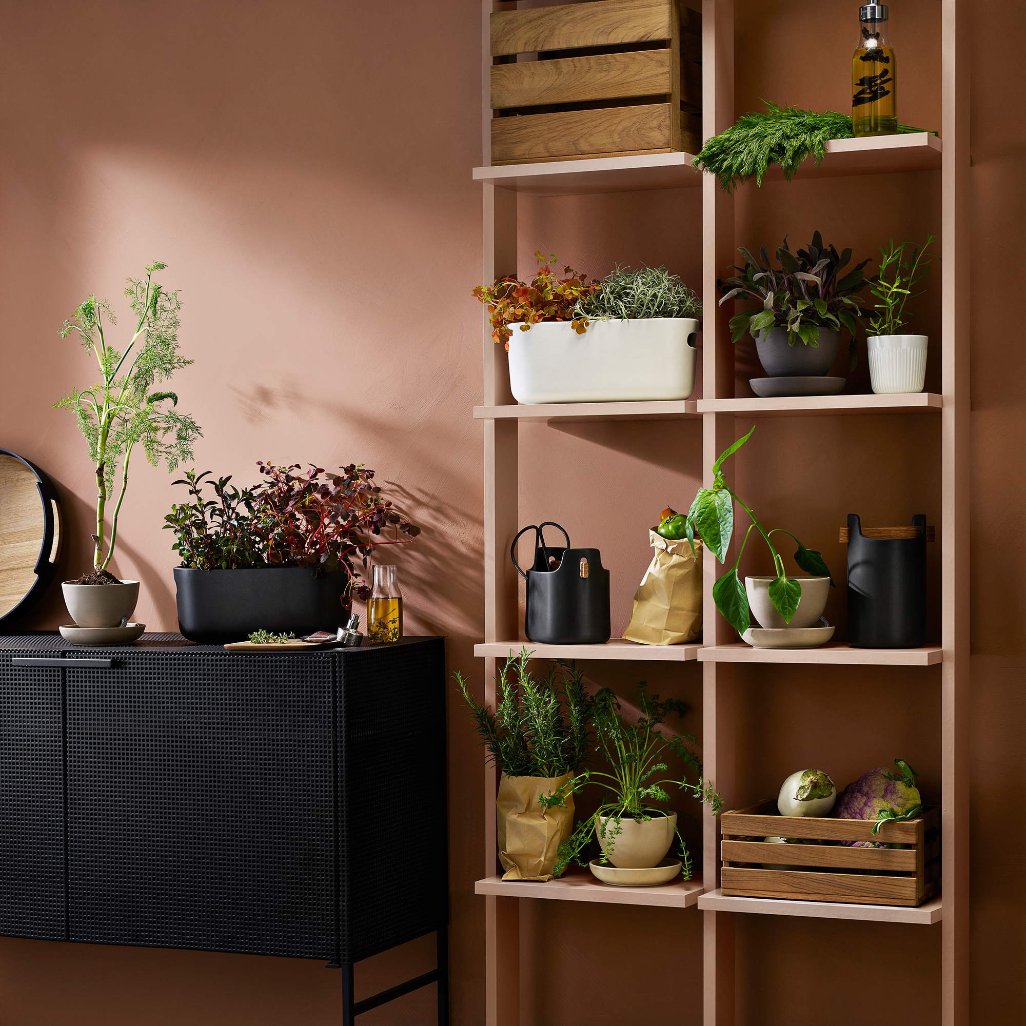 Herb-Organiser auto-arrosant Eva Solo OFFRE SPECIALE