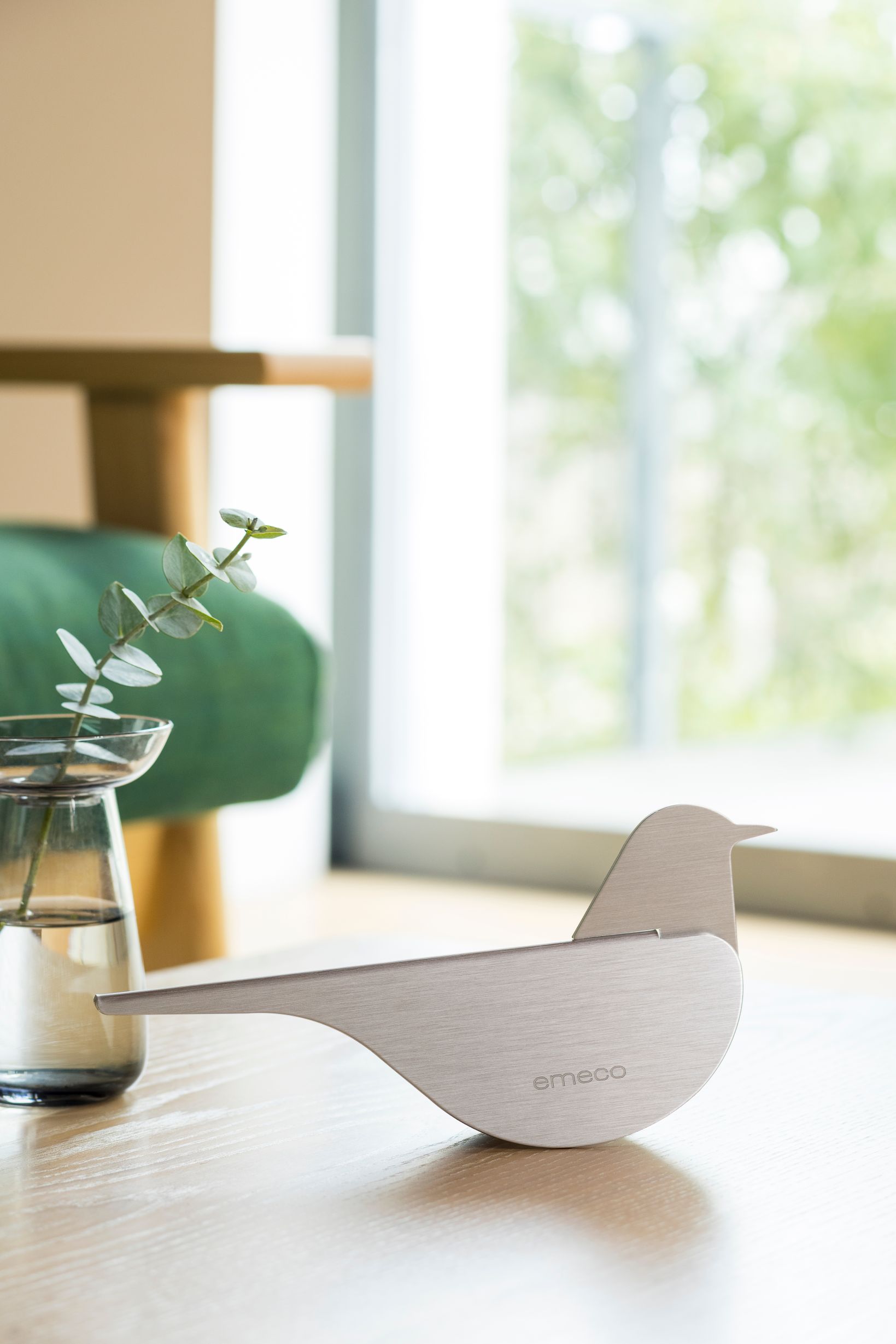 Birds Blackbird Merle Emeco