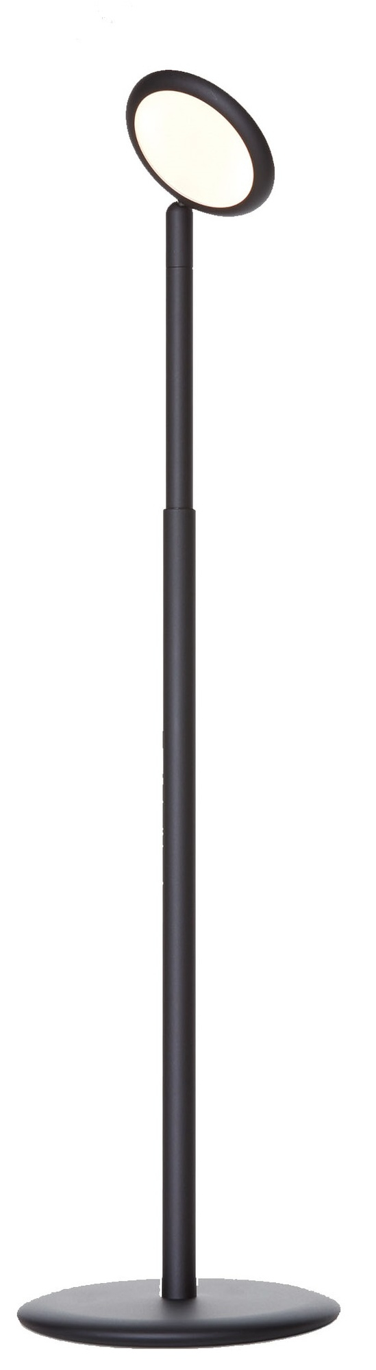 Parrot Lampadaire Grau