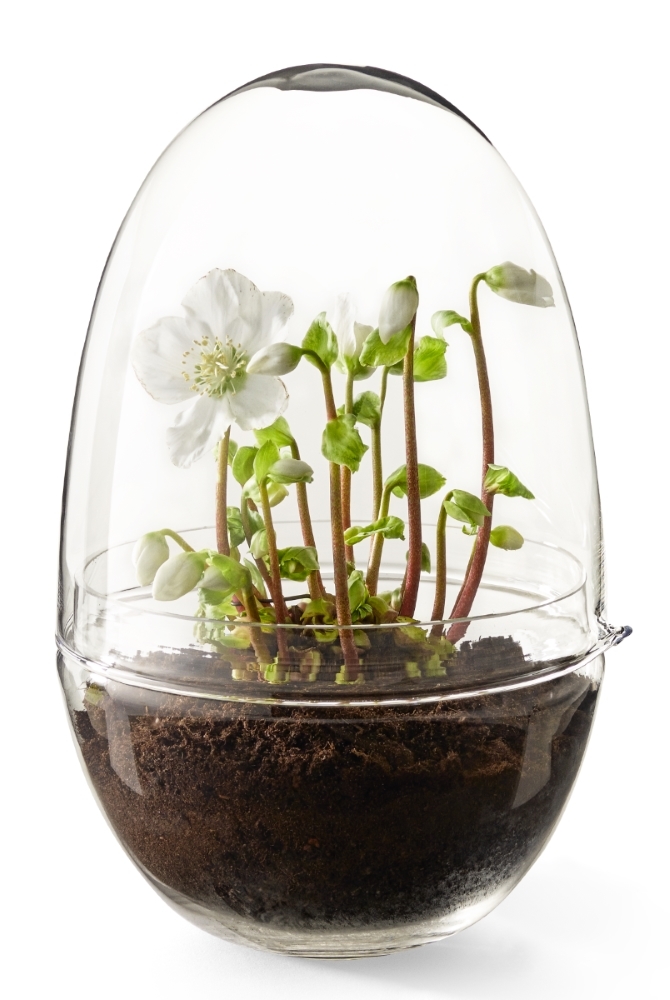 Grow XL serre Design House Stockholm