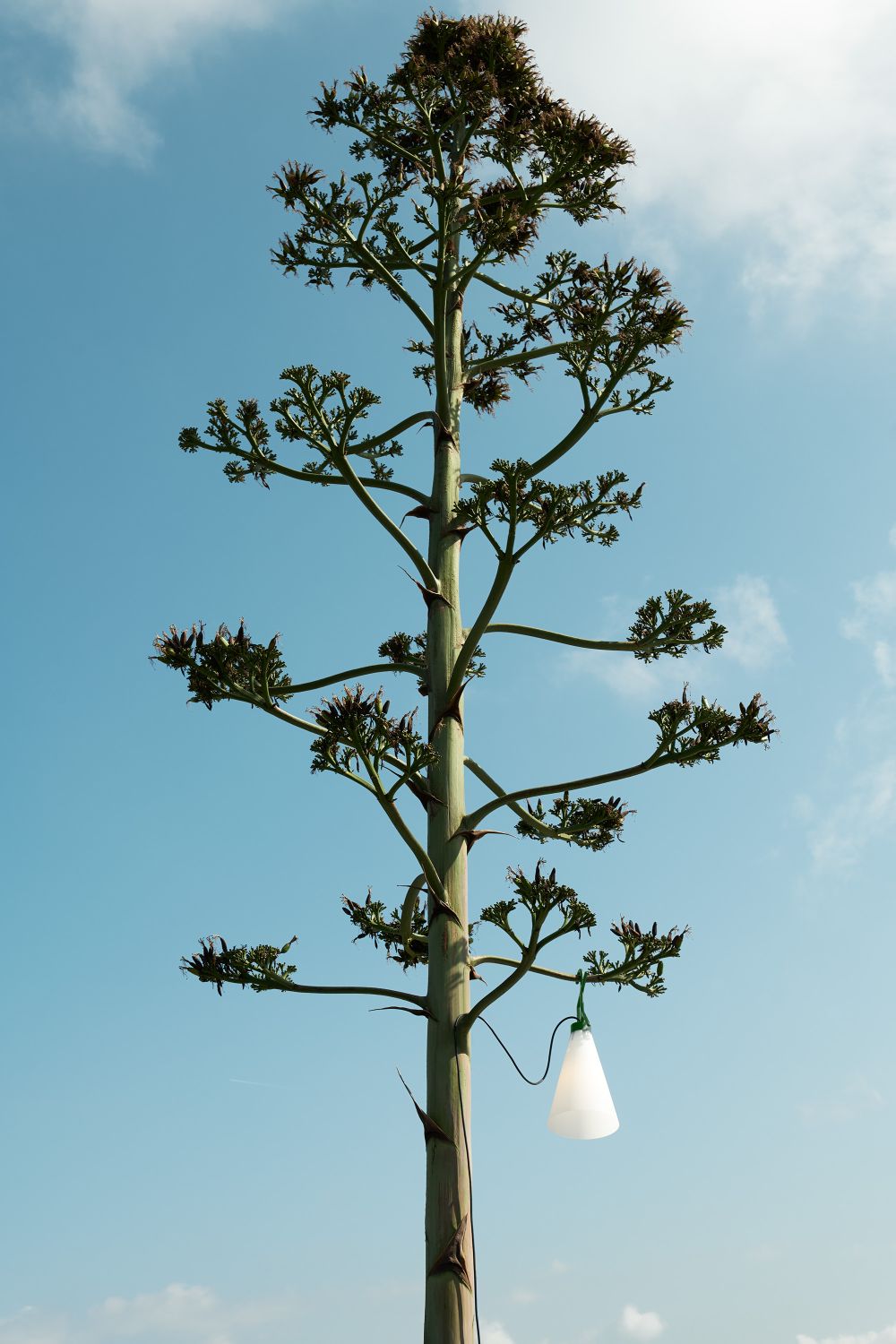 May Day / Mayday Polyvalent Lumière Outdoor Flos