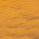Ambre