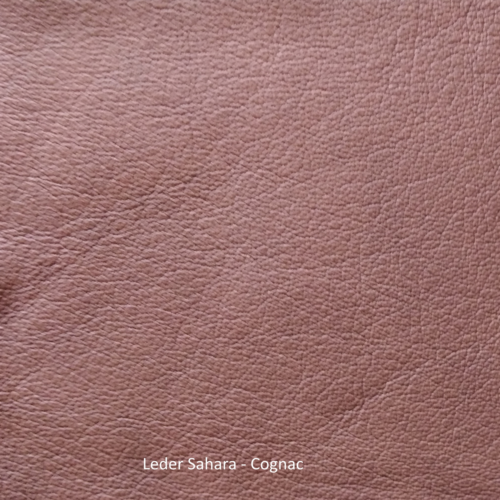 Modèle en cuir Sahara Freifrau Manufaktur