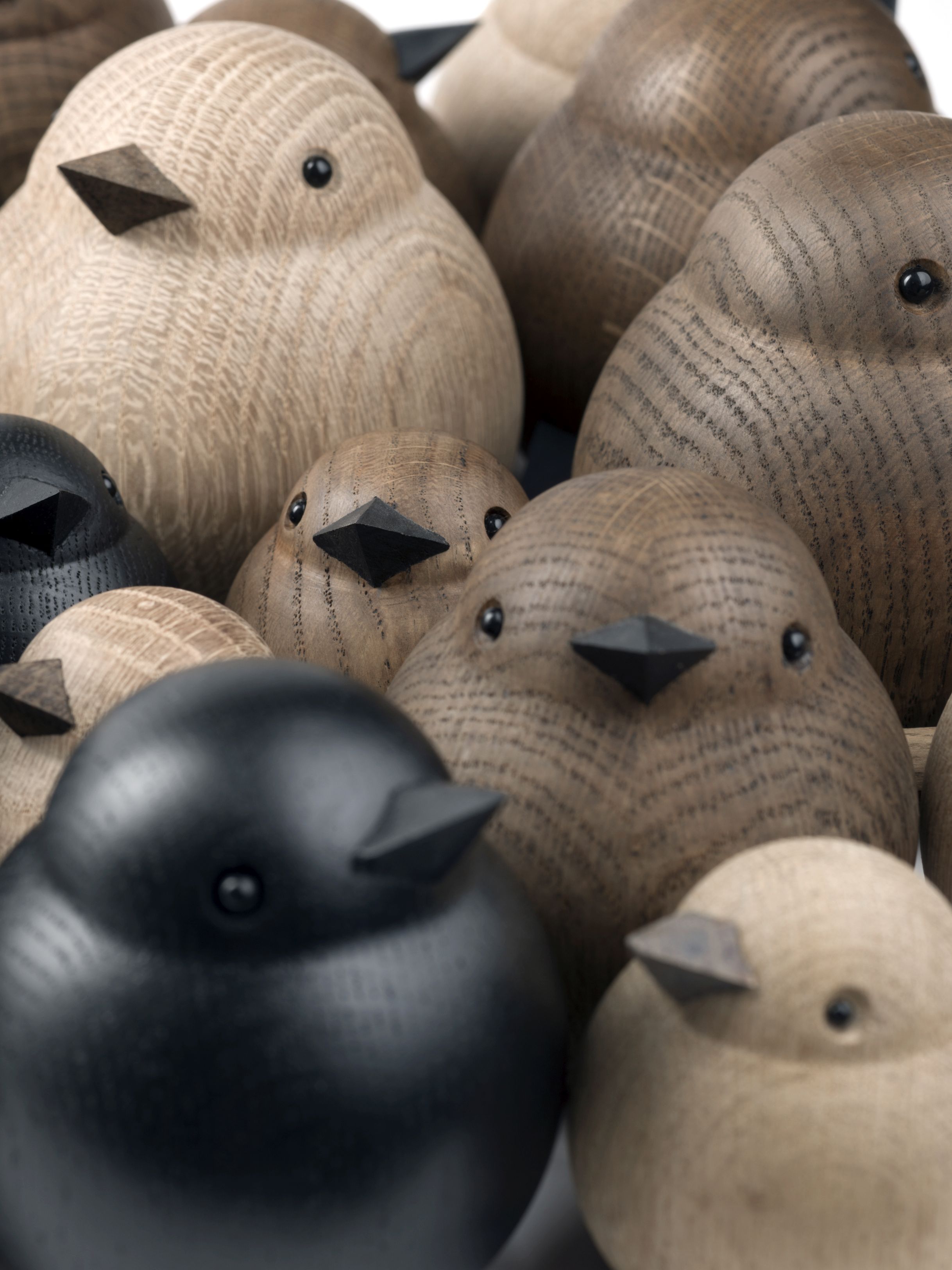Sparrow chêne noir novoform OFFRE SPECIALE