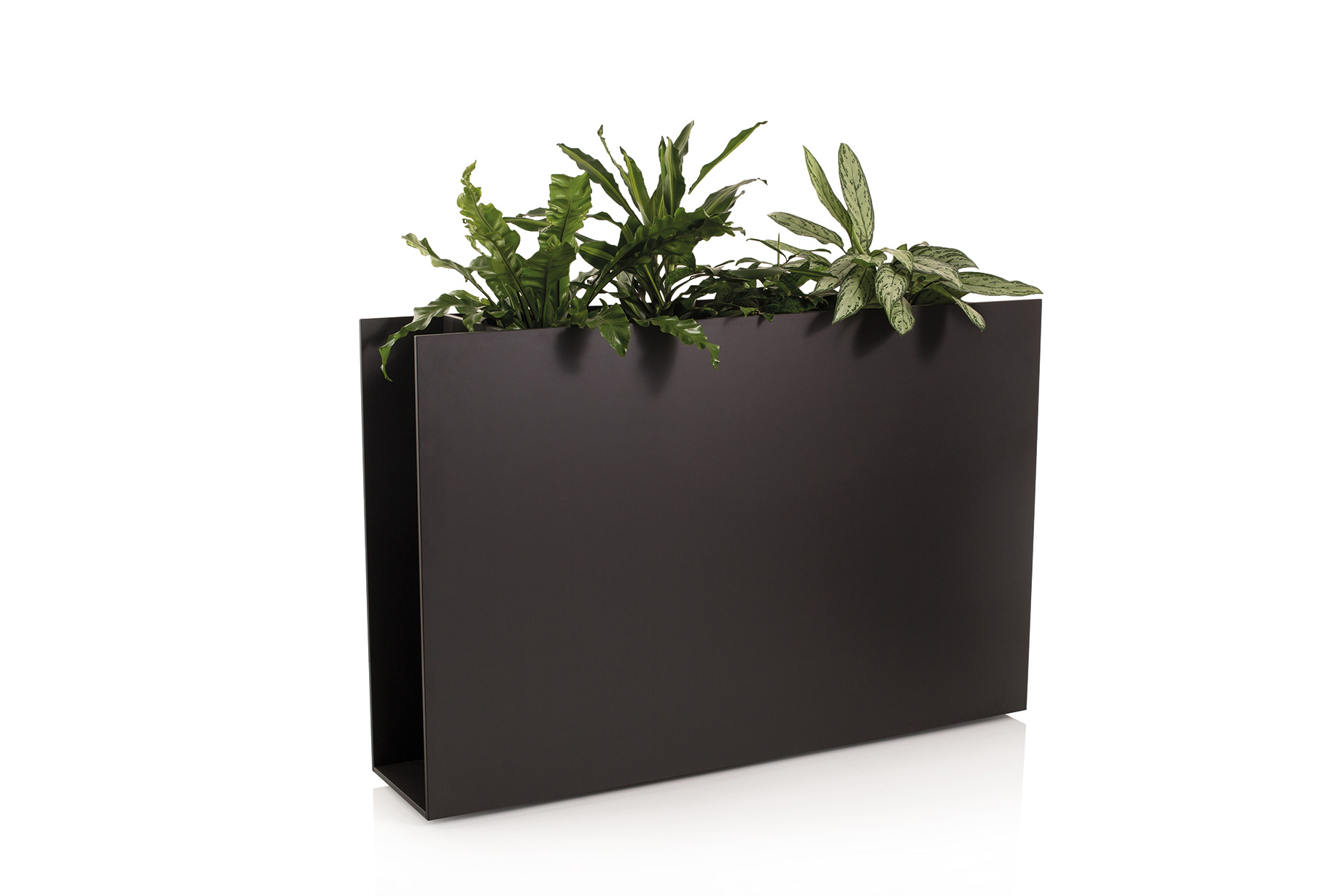 Jardinière Sotomon Conmoto
