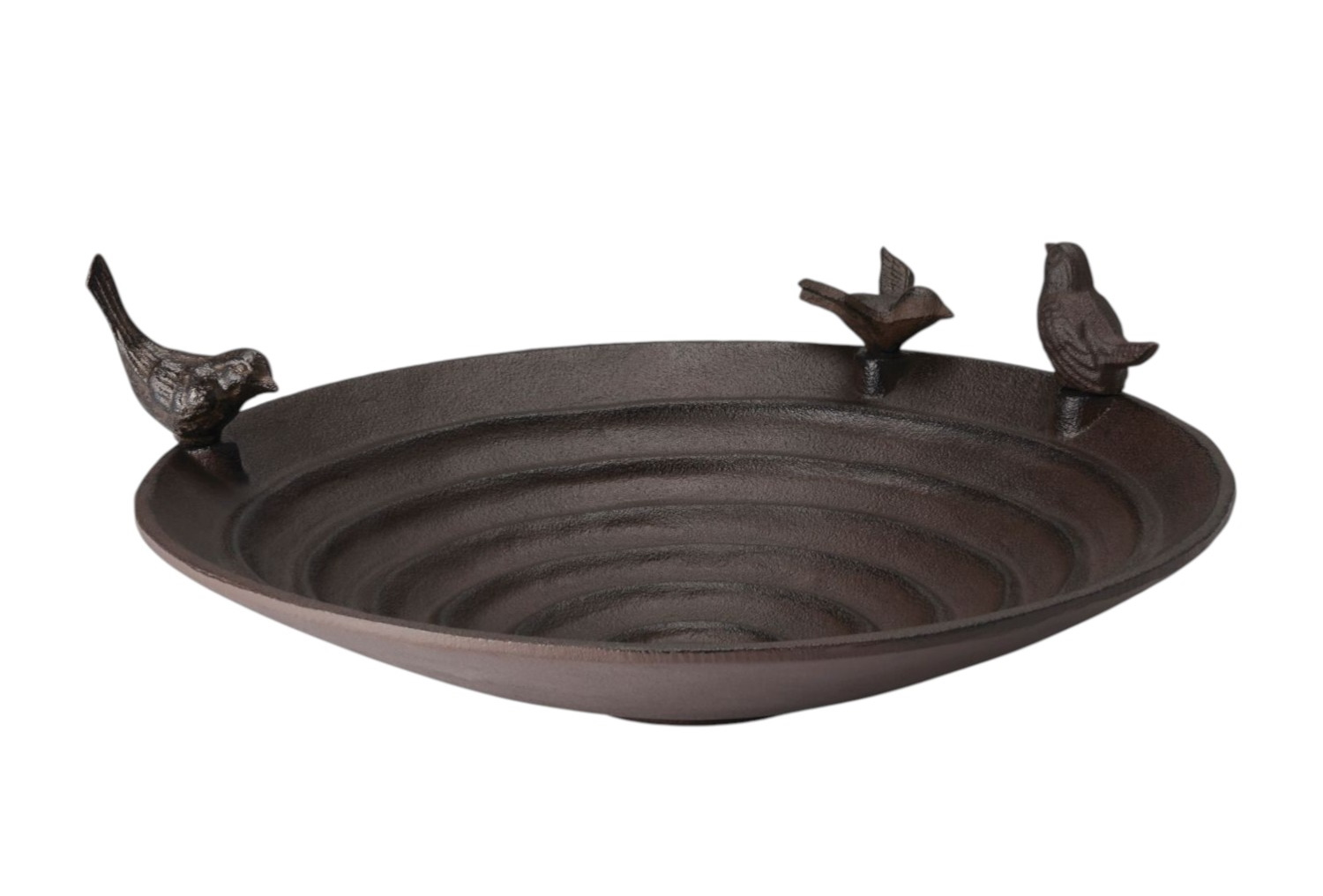 Pool mangeoire à oiseaux Philippi