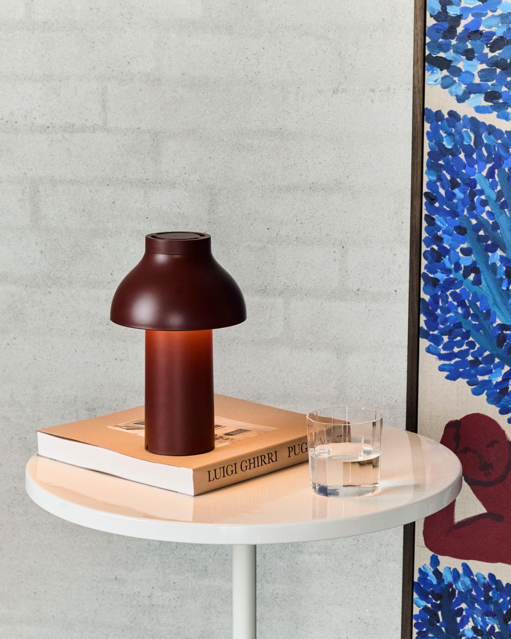 PC Portable Lampe de batterie / Lampe de table Hay