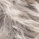 Sauvage gris