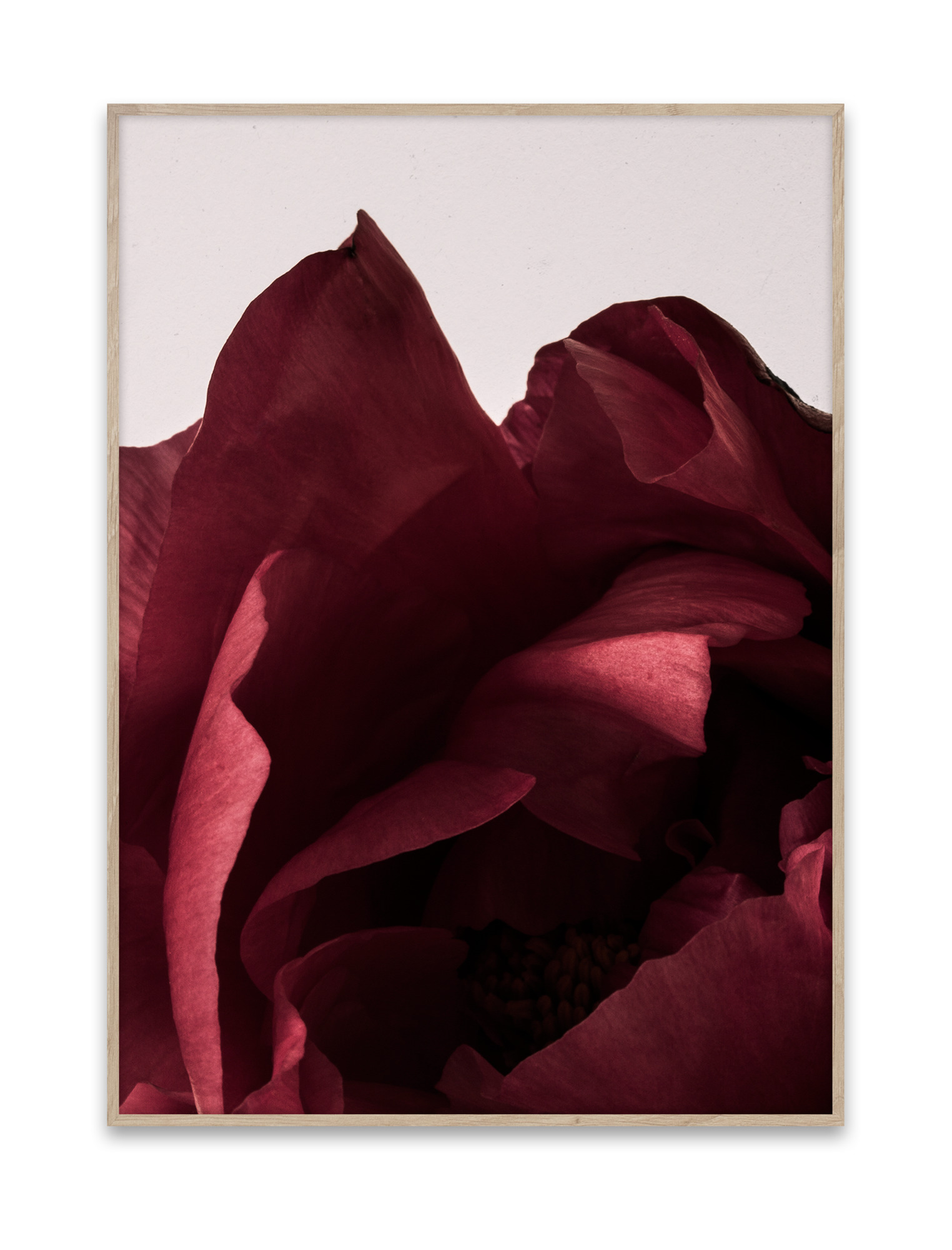 Peonia Poster Paper Collective OFFRE SPECIALE