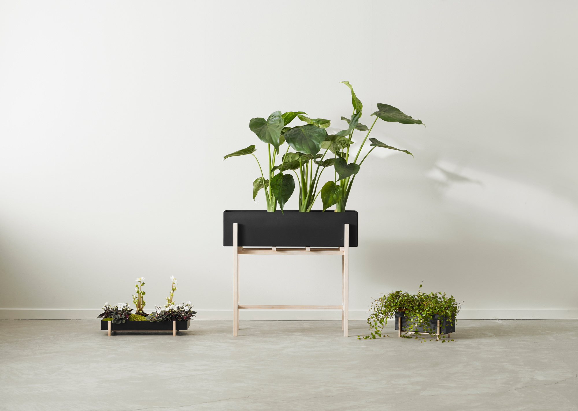 Botanic Boîte à herbes Design House Stockholm OFFRE SPECIALE