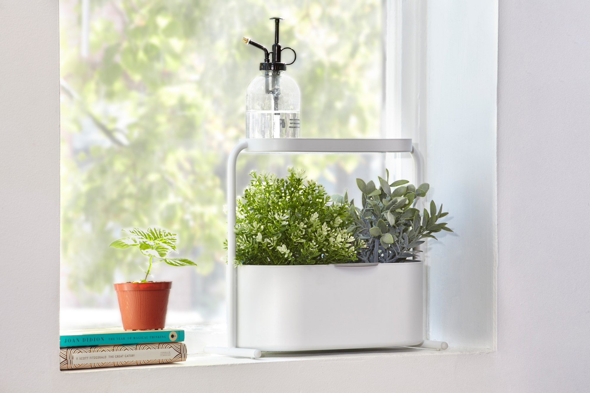 Giardino Pot à base de plantes Umbra OFFRE SPECIALE
