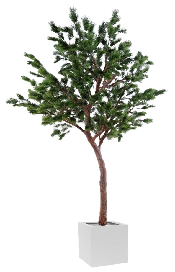 Taiga Pin Tree 270 (conifère) Plante artificielle Tanaman 