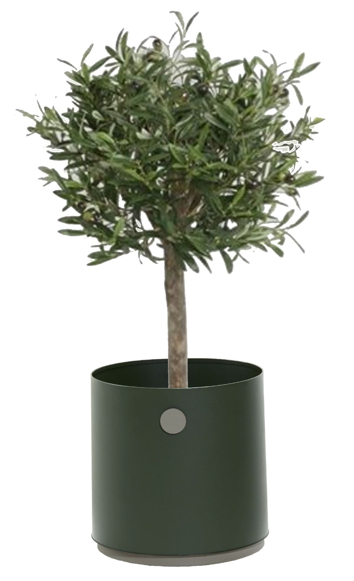 Jardinière de culture, petite jardinière d'extérieur Cane-Line