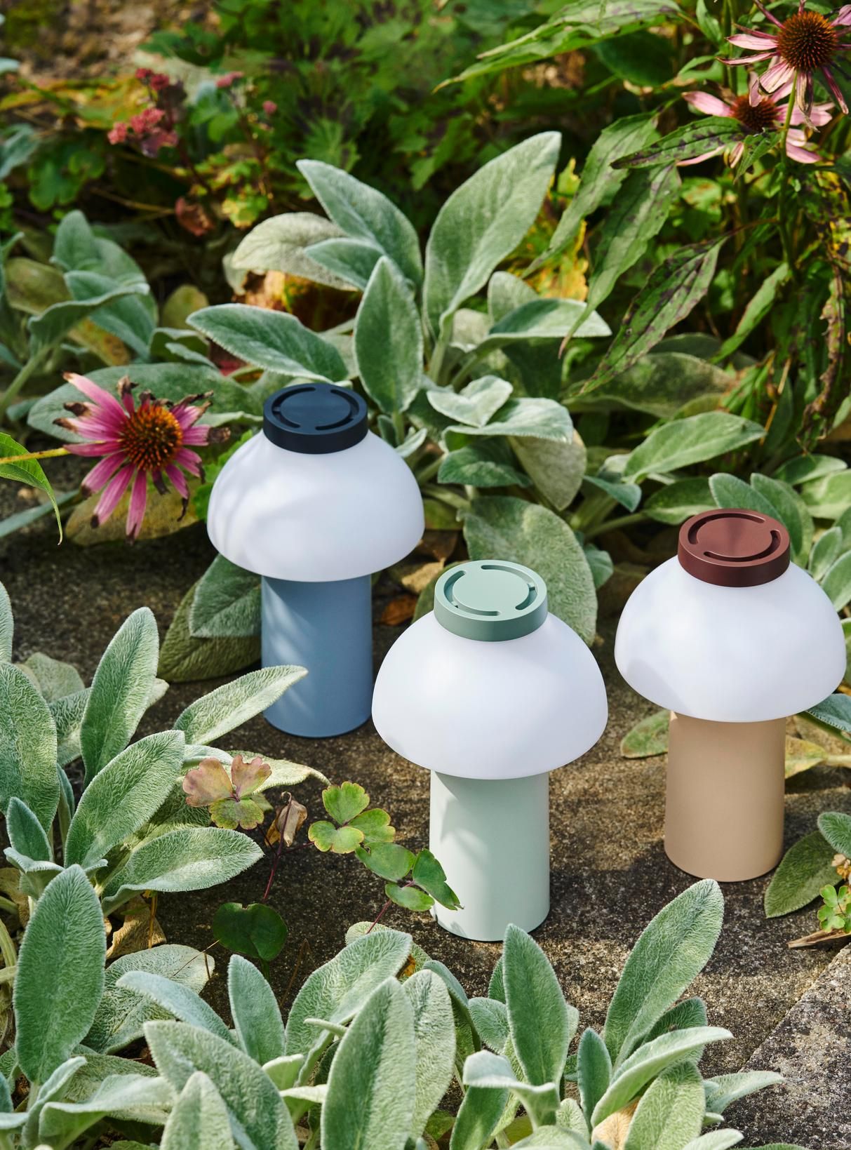 PC Portable Lampe de batterie / Lampe de table Hay