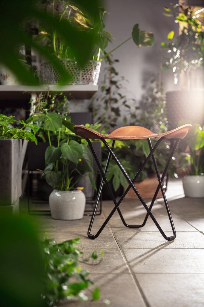 Pampa Flying Goose Tabouret Cuero 
