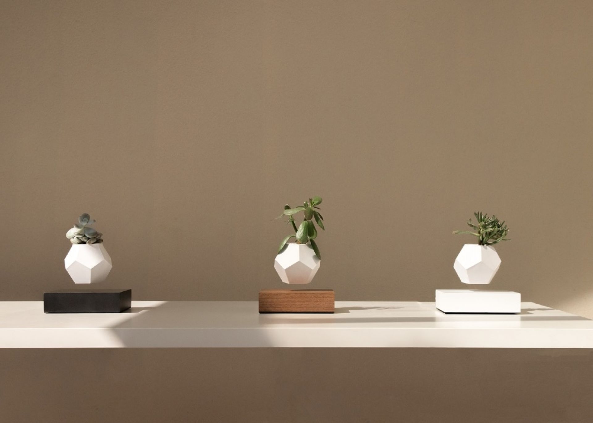 Lyfe flottant Vase Klein & More Bois d'érable Noir OFFRE SPECIALE
