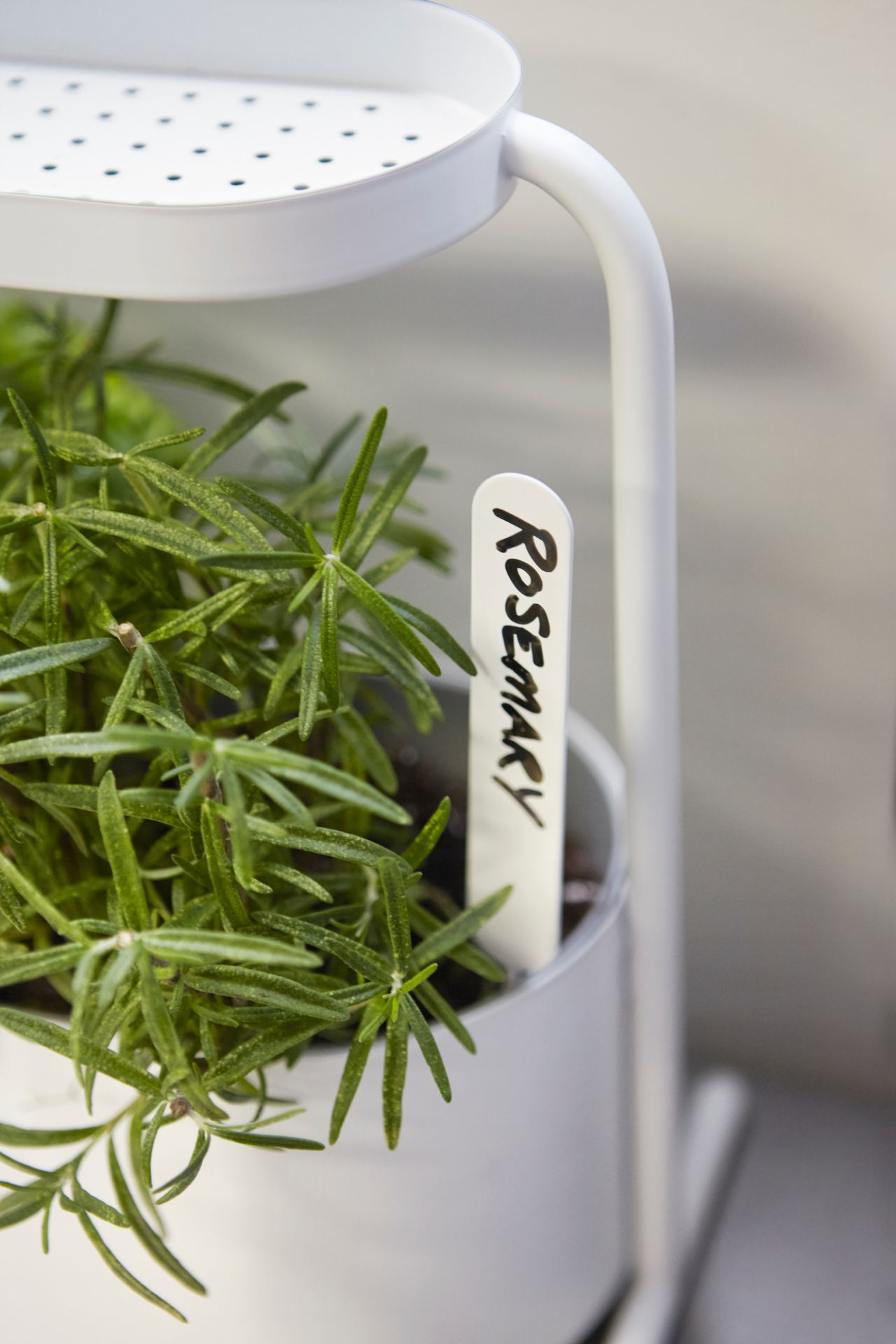 Giardino Pot à base de plantes Umbra OFFRE SPECIALE