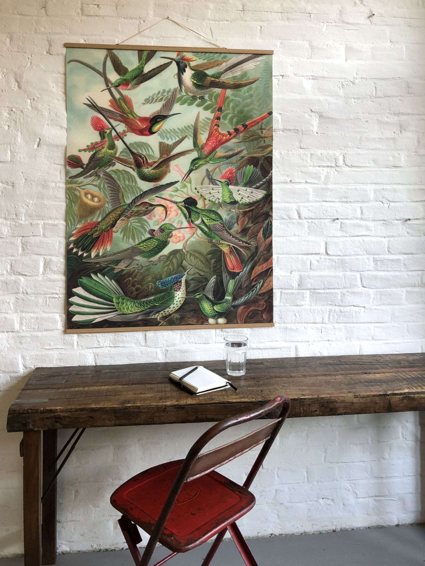 Fish affiches NO 66 eicie OFFRE SPECIALE