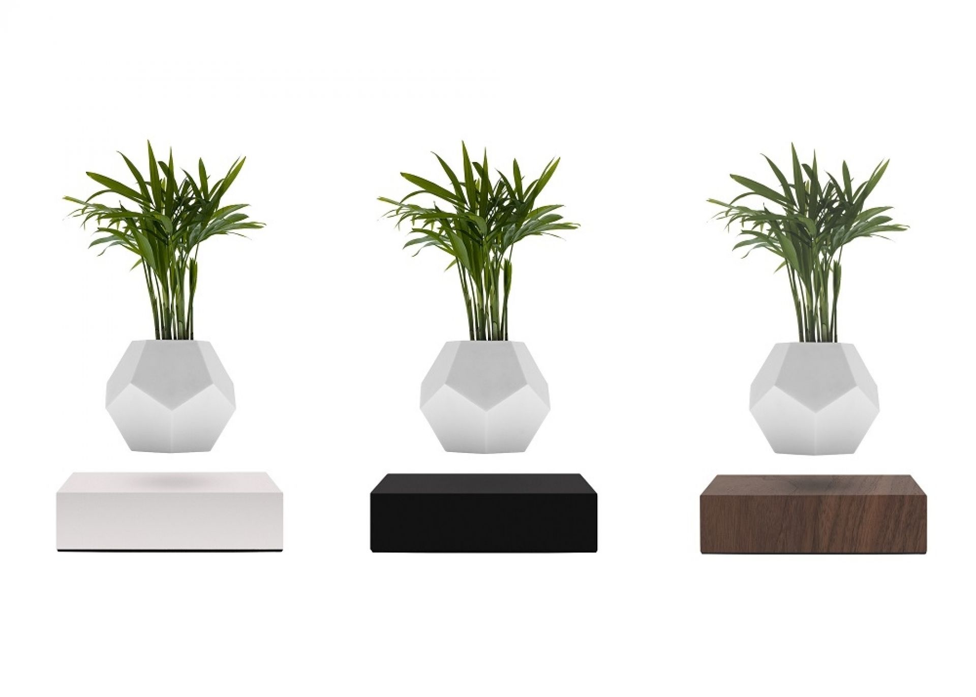 Lyfe flottant Vase Klein & More Bois d'érable Noir OFFRE SPECIALE