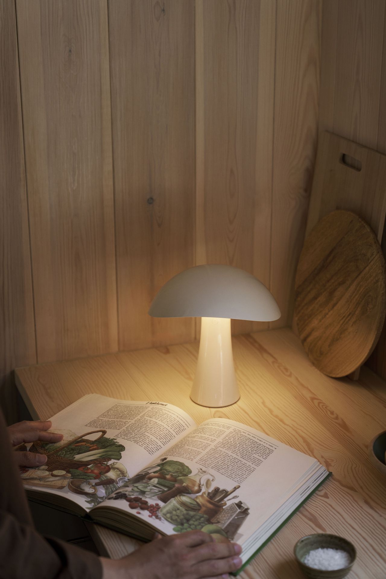 Rumee 220 Portable Indoor / Outdoor Lampe à batterie Louis Poulsen